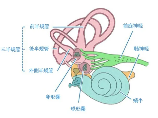 めまいの治療